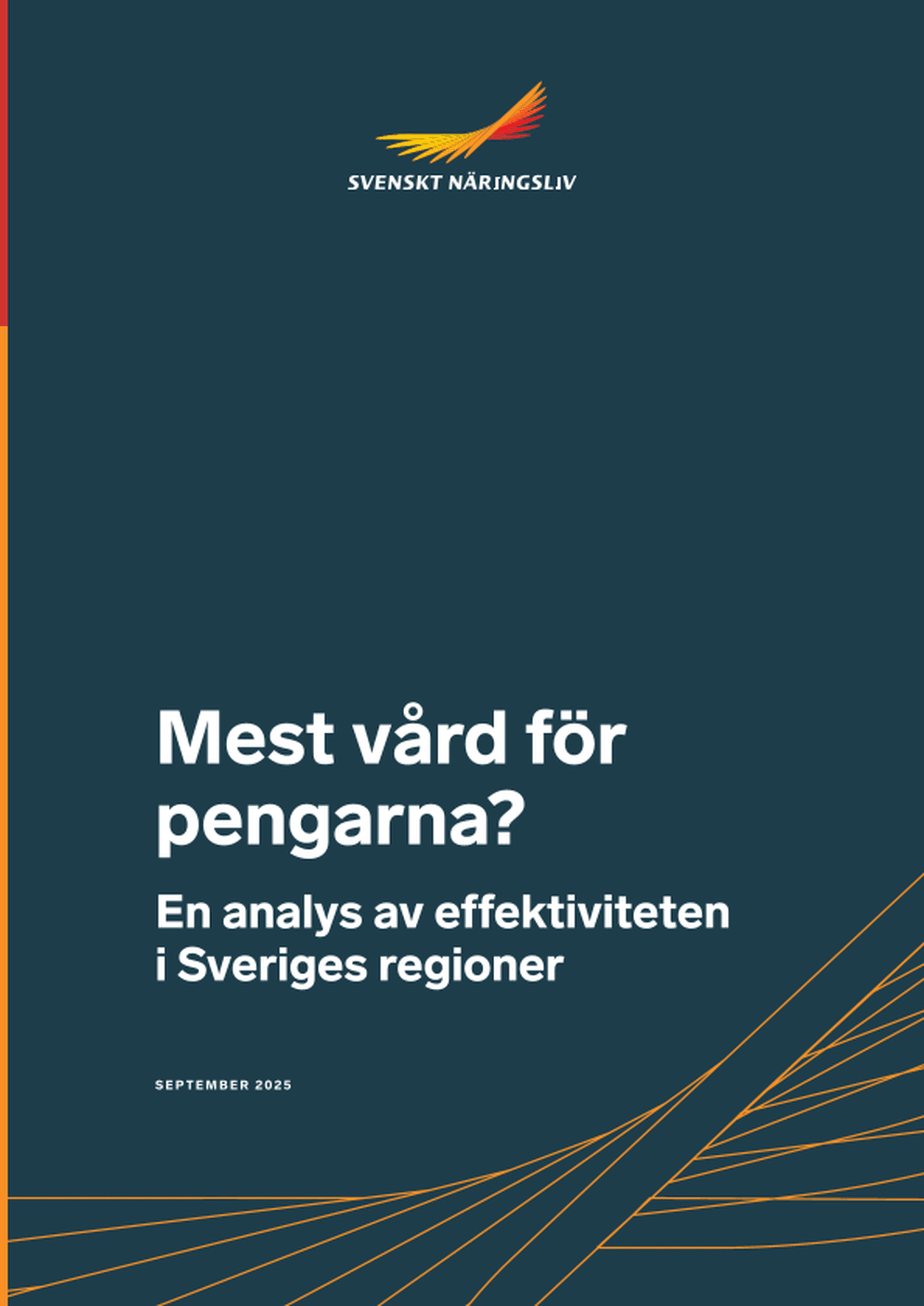 Omslagsbild - Rapport