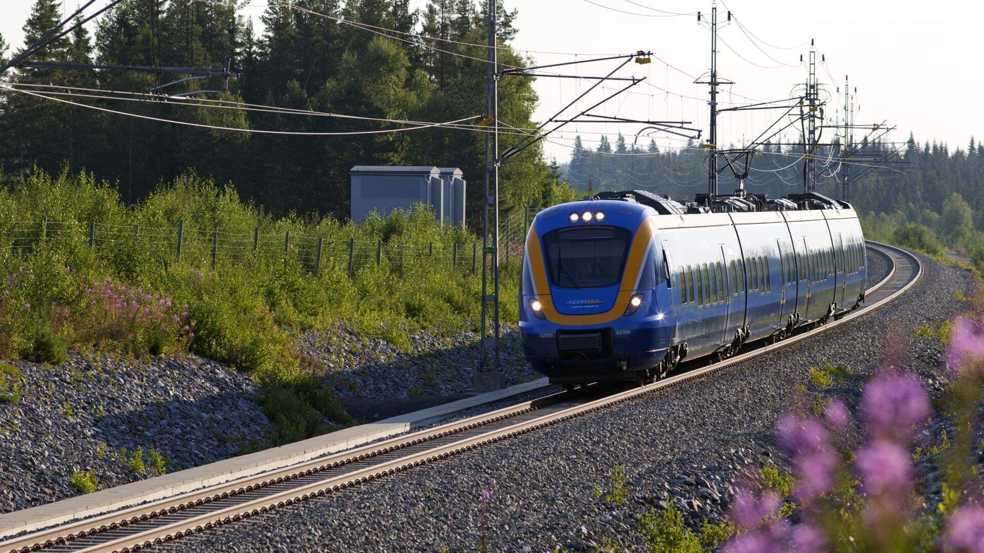 tåg i skogen på sommaren