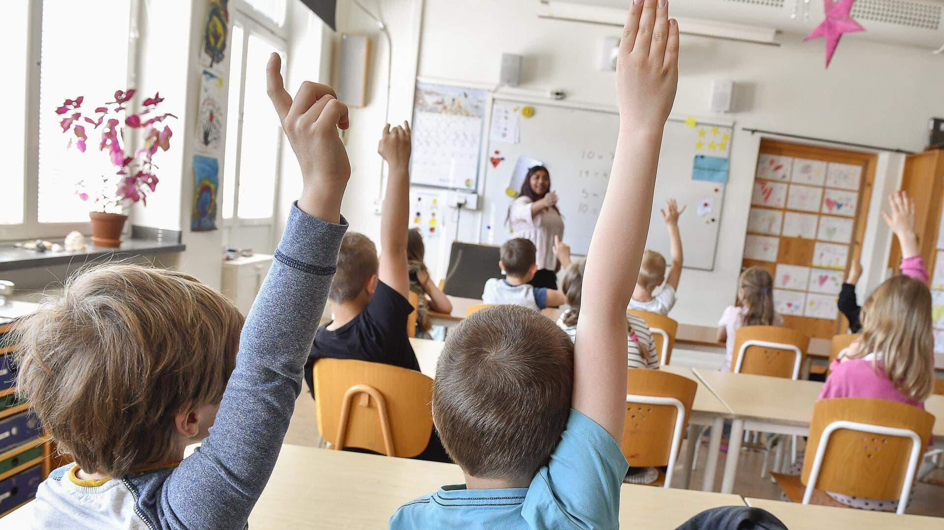 Elever räcker upp händerna i ett klassrum