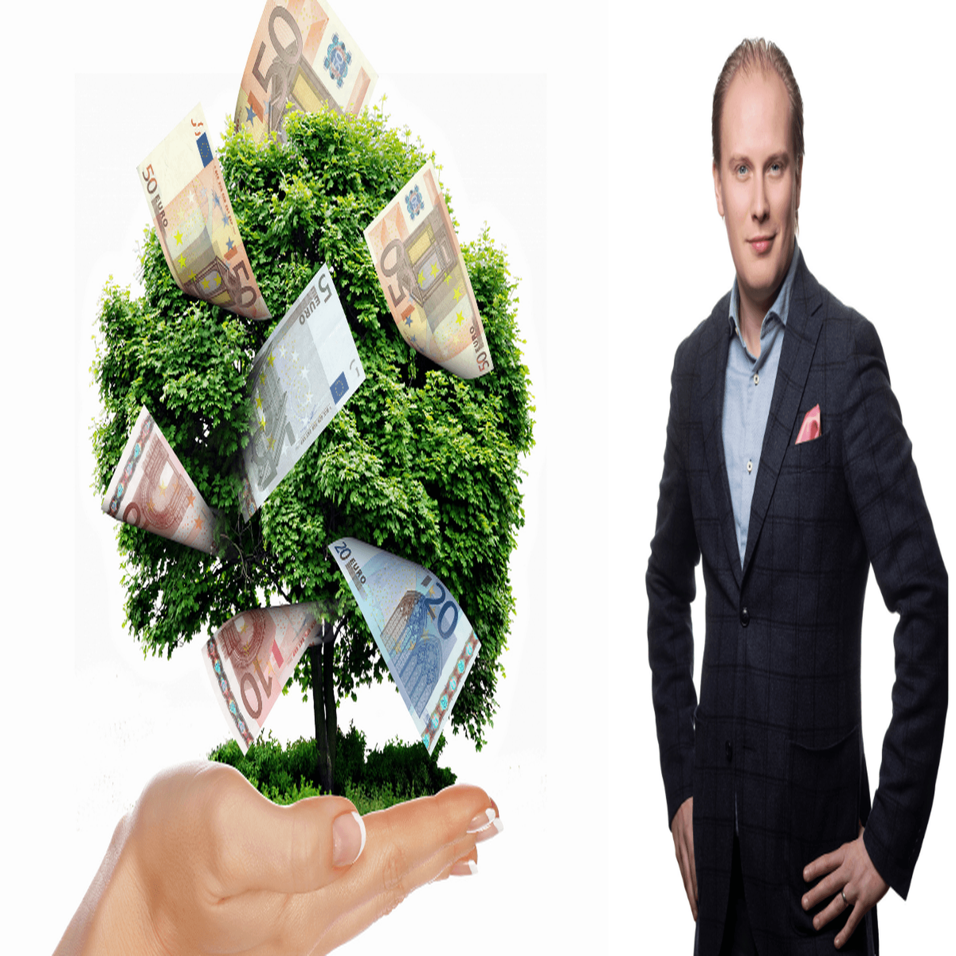 Träd med sedlar. Marcus Morfeldt