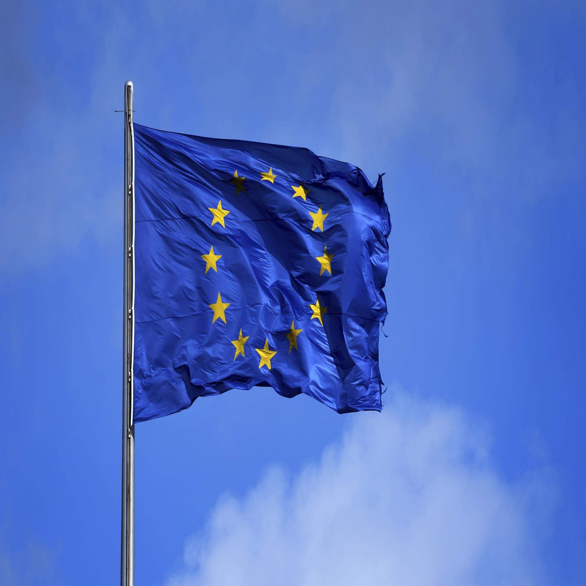 EU-flagga