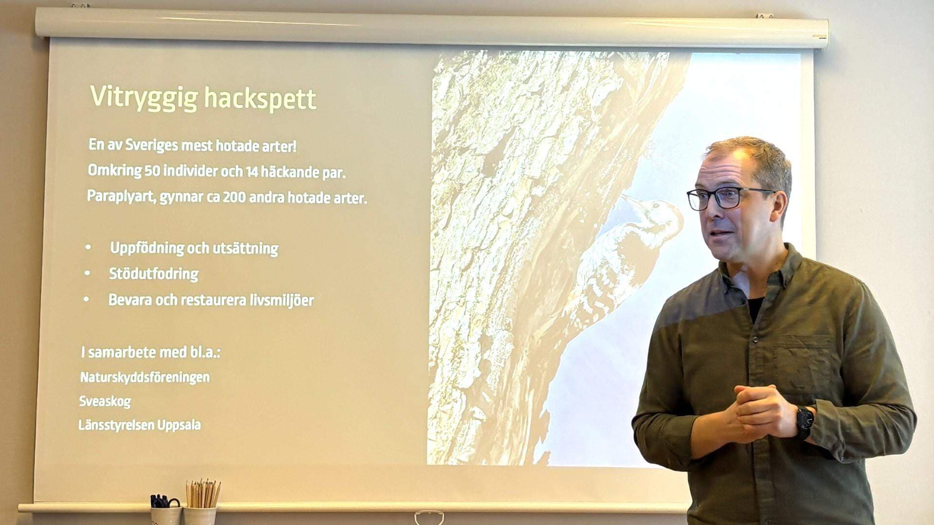 Jens Larsson, vd och delägare för Vildriket.