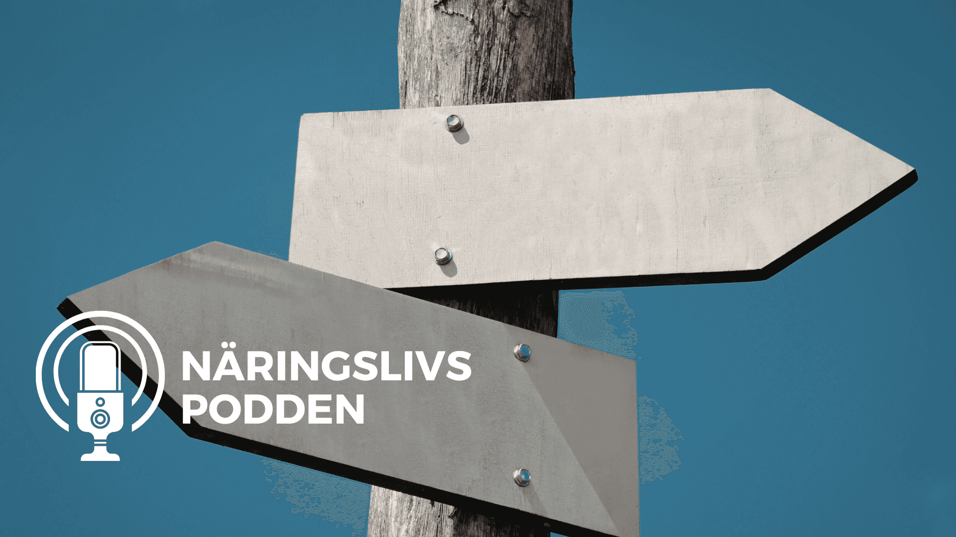 Vägval Näringslivspodden