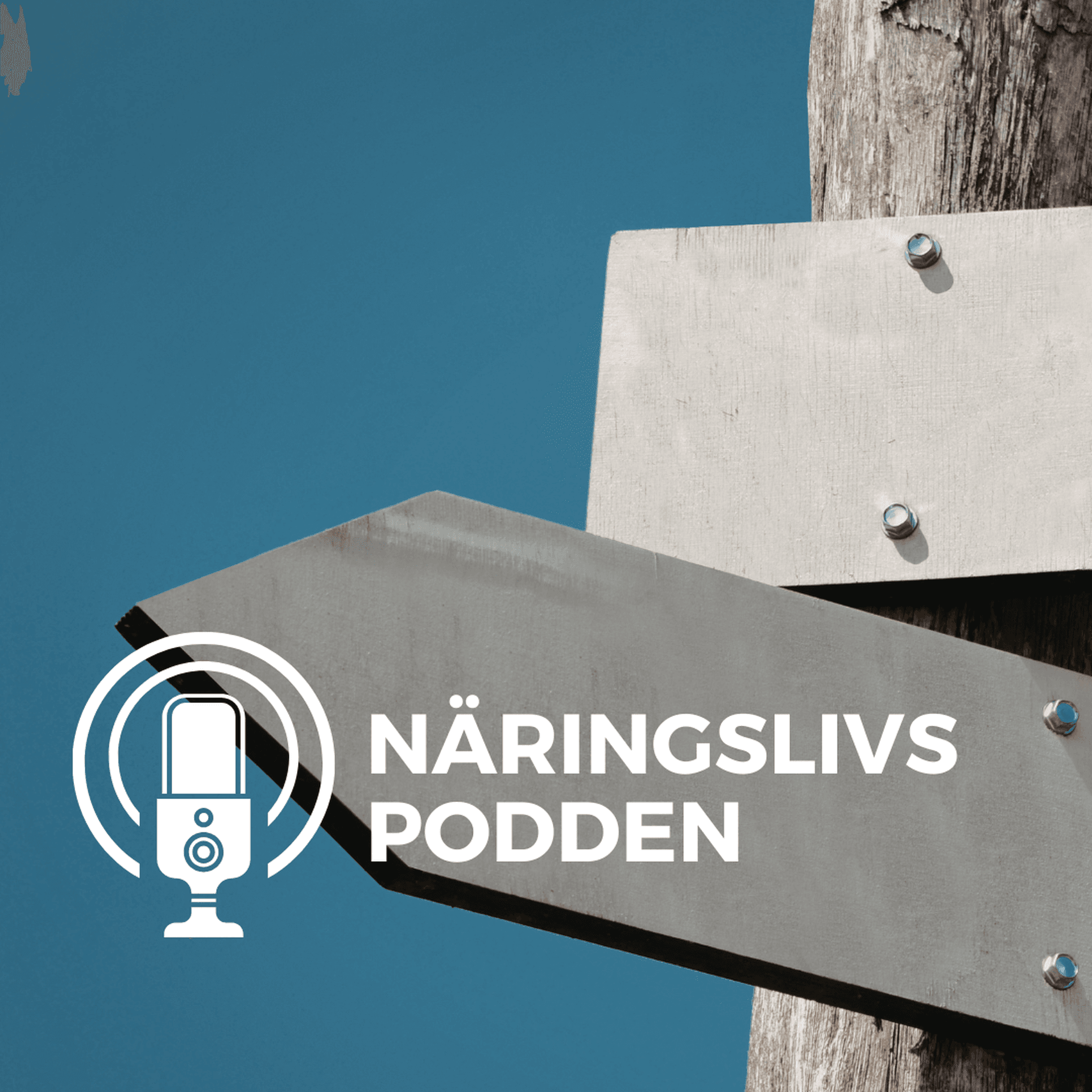 Vägval Näringslivspodden