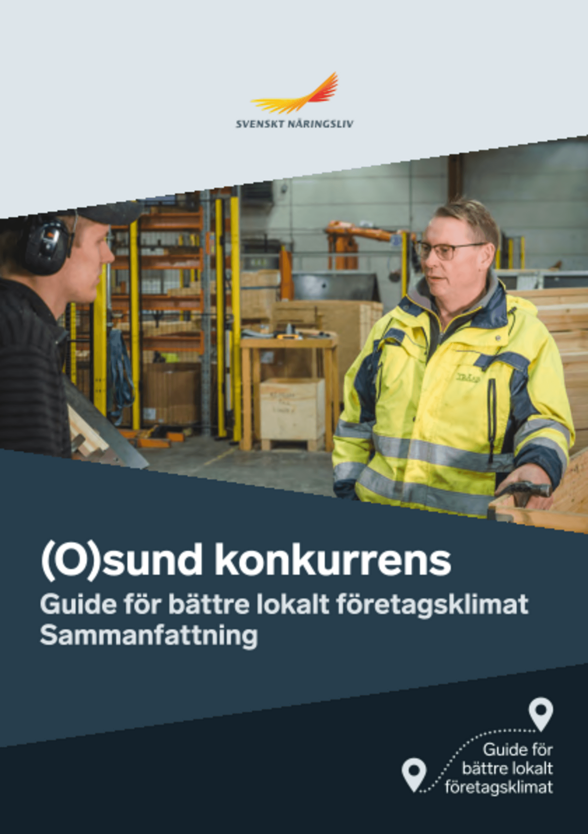 Omslagsbild - Rapport