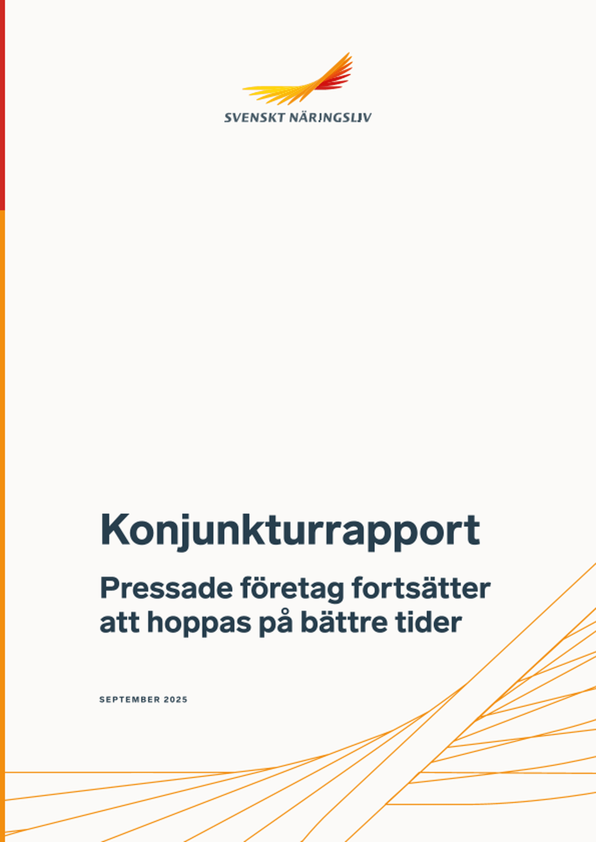 Omslagsbild - Rapport