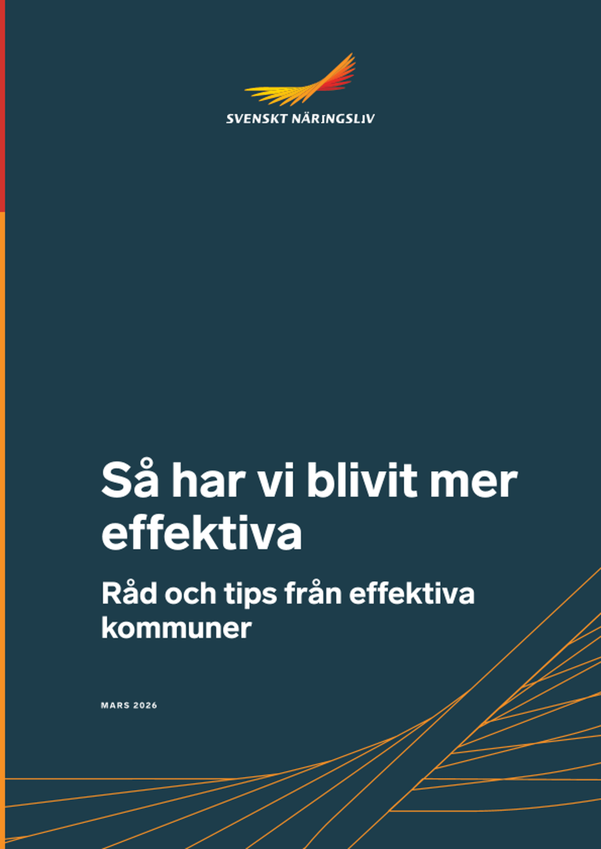 Omslagsbild - Rapport