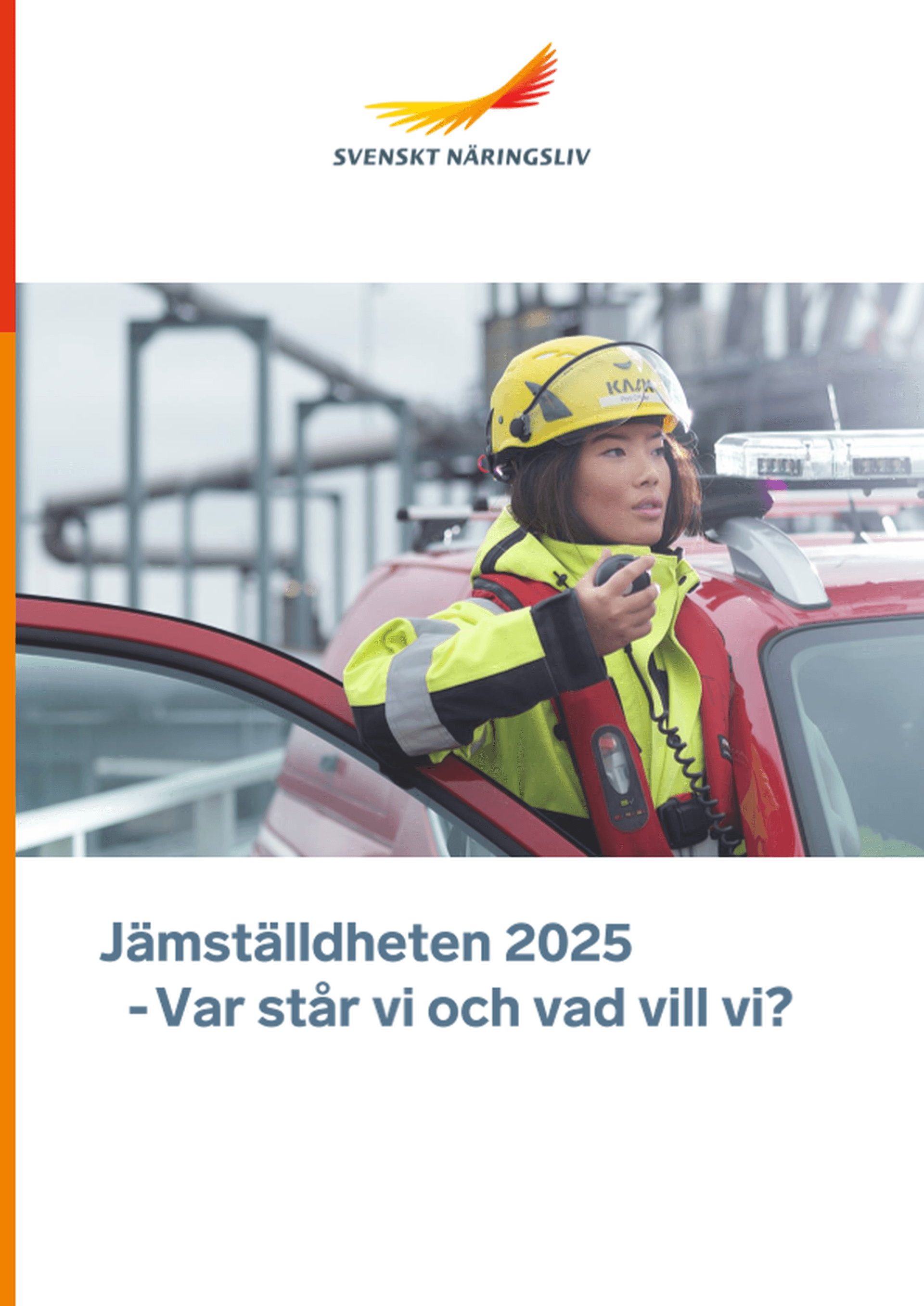 Omslagsbild - Rapport