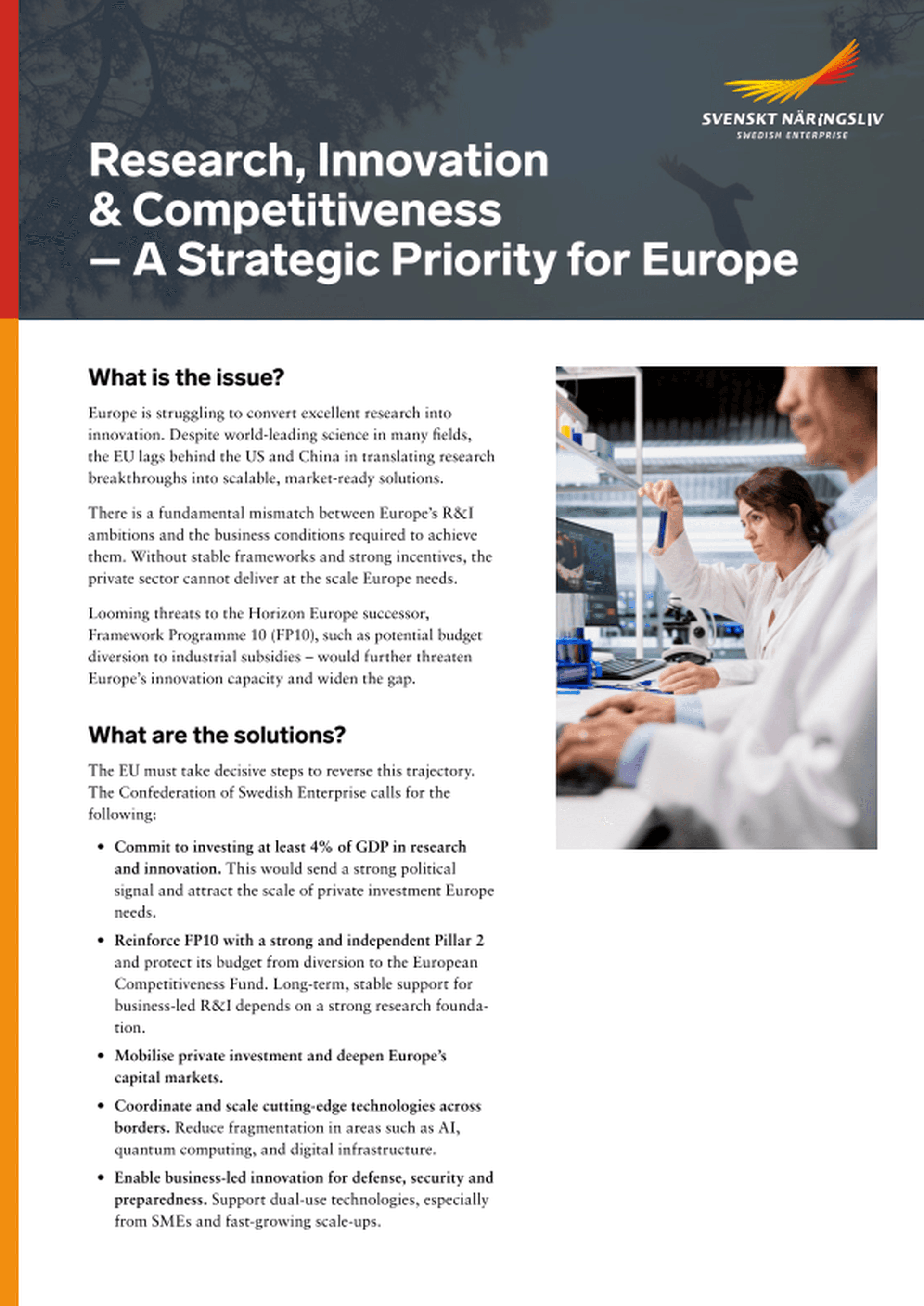 Omslagsbild - Rapport