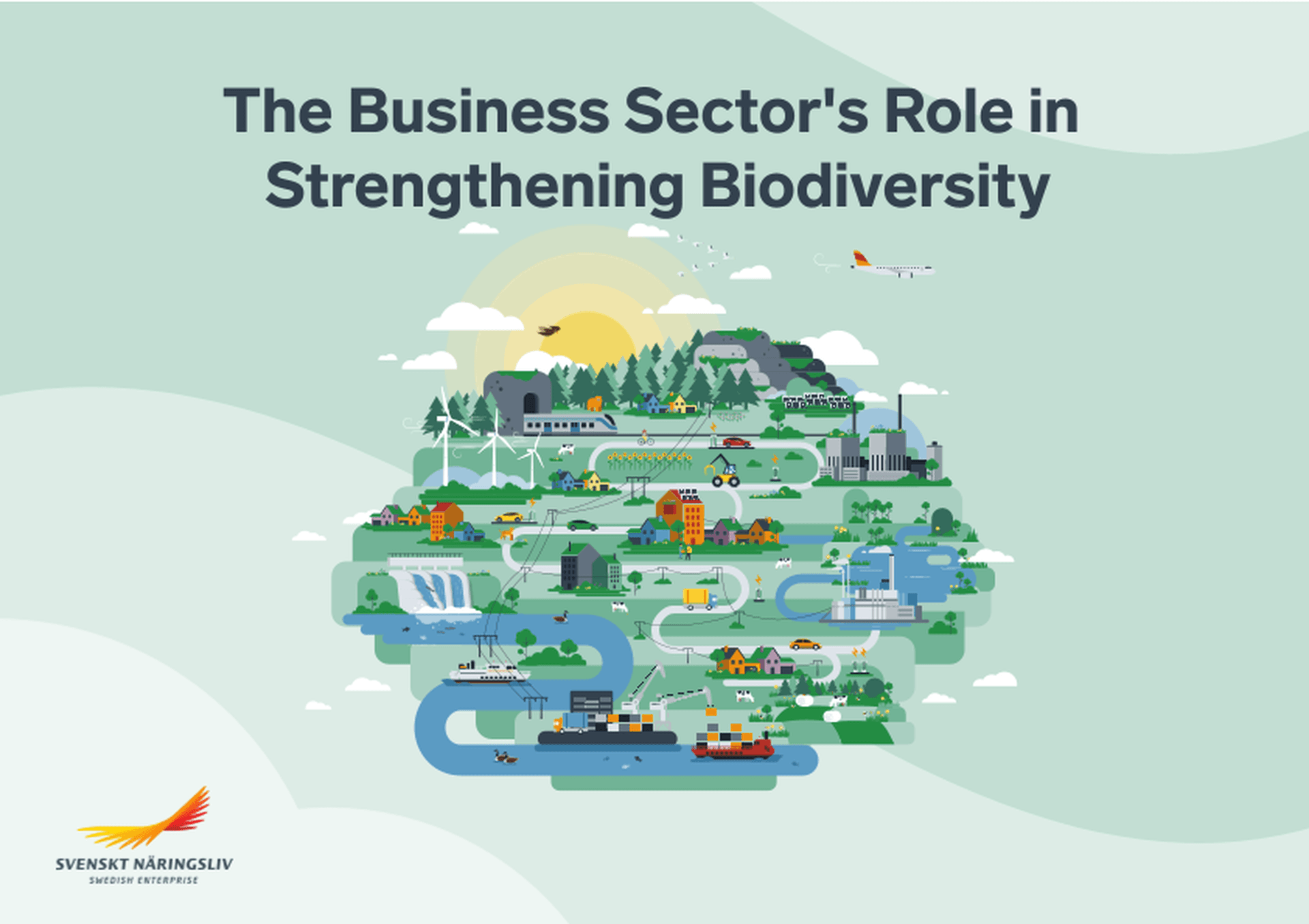 Omslagsbild - Rapport