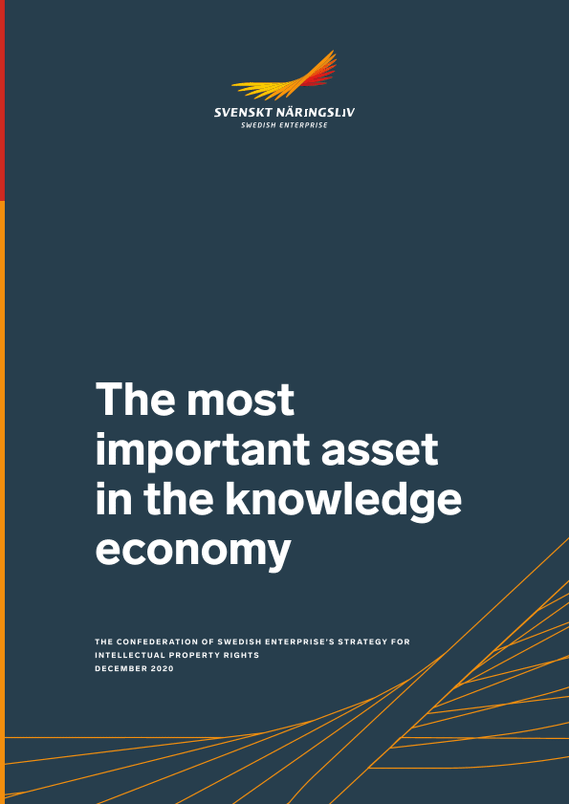 Omslagsbild - Rapport