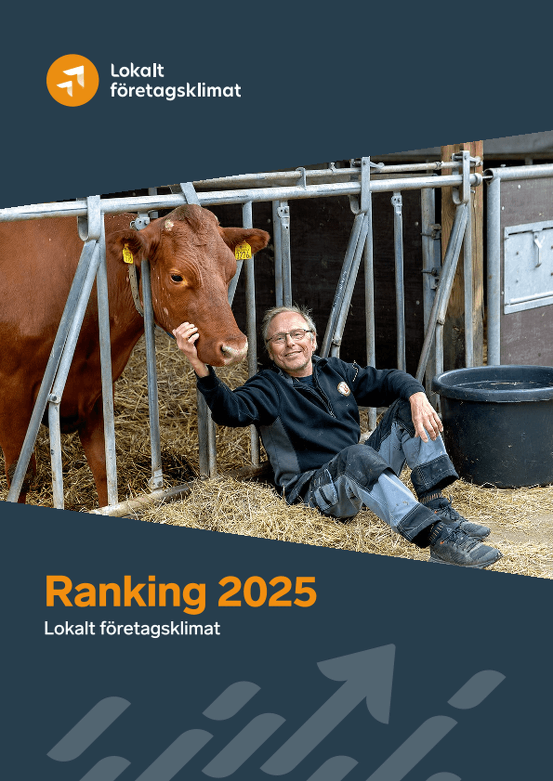 Omslagsbild - Rapport