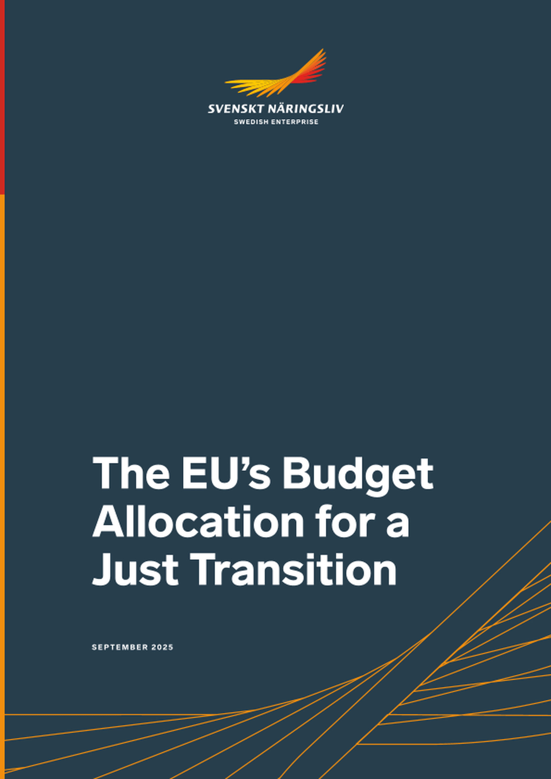 Omslagsbild - Rapport