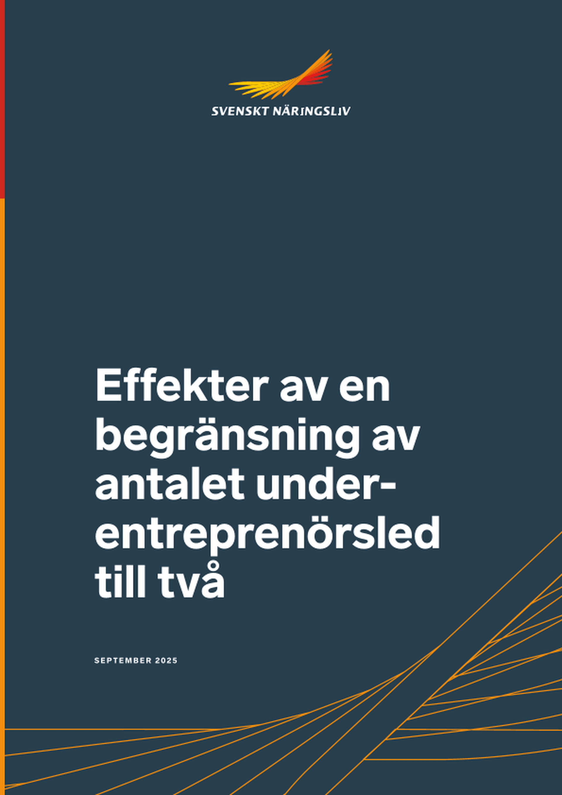 Omslagsbild - Rapport