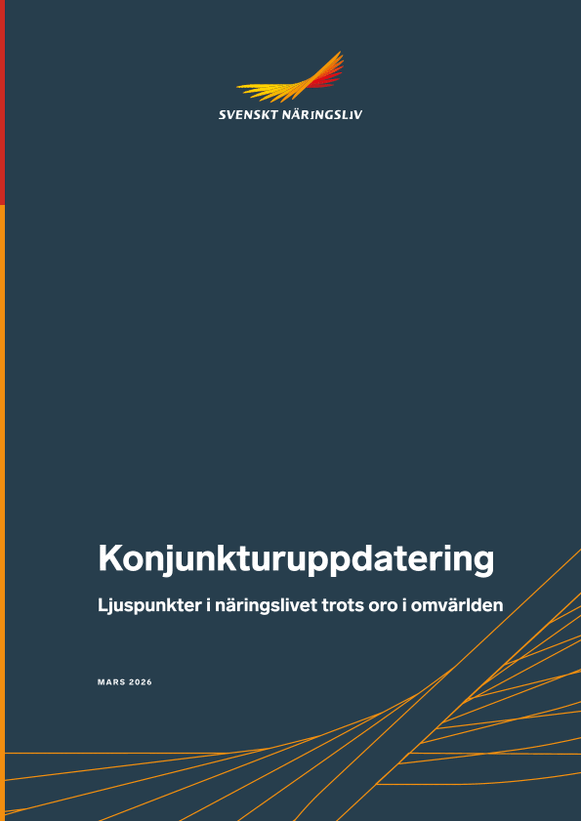 Omslagsbild - Rapport