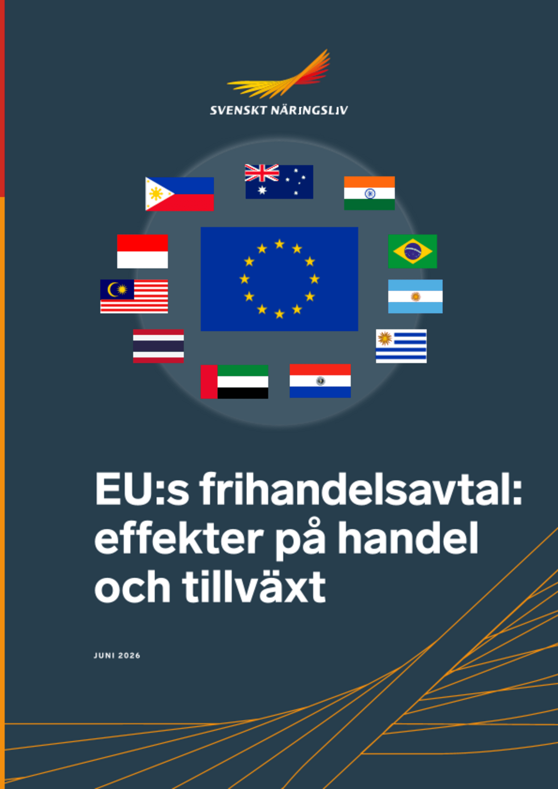 Omslagsbild - Rapport