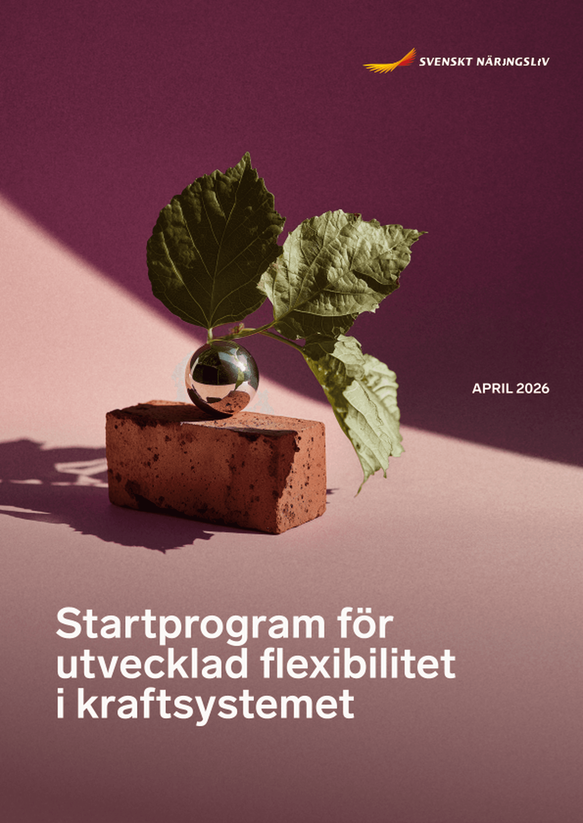 Omslagsbild - Rapport