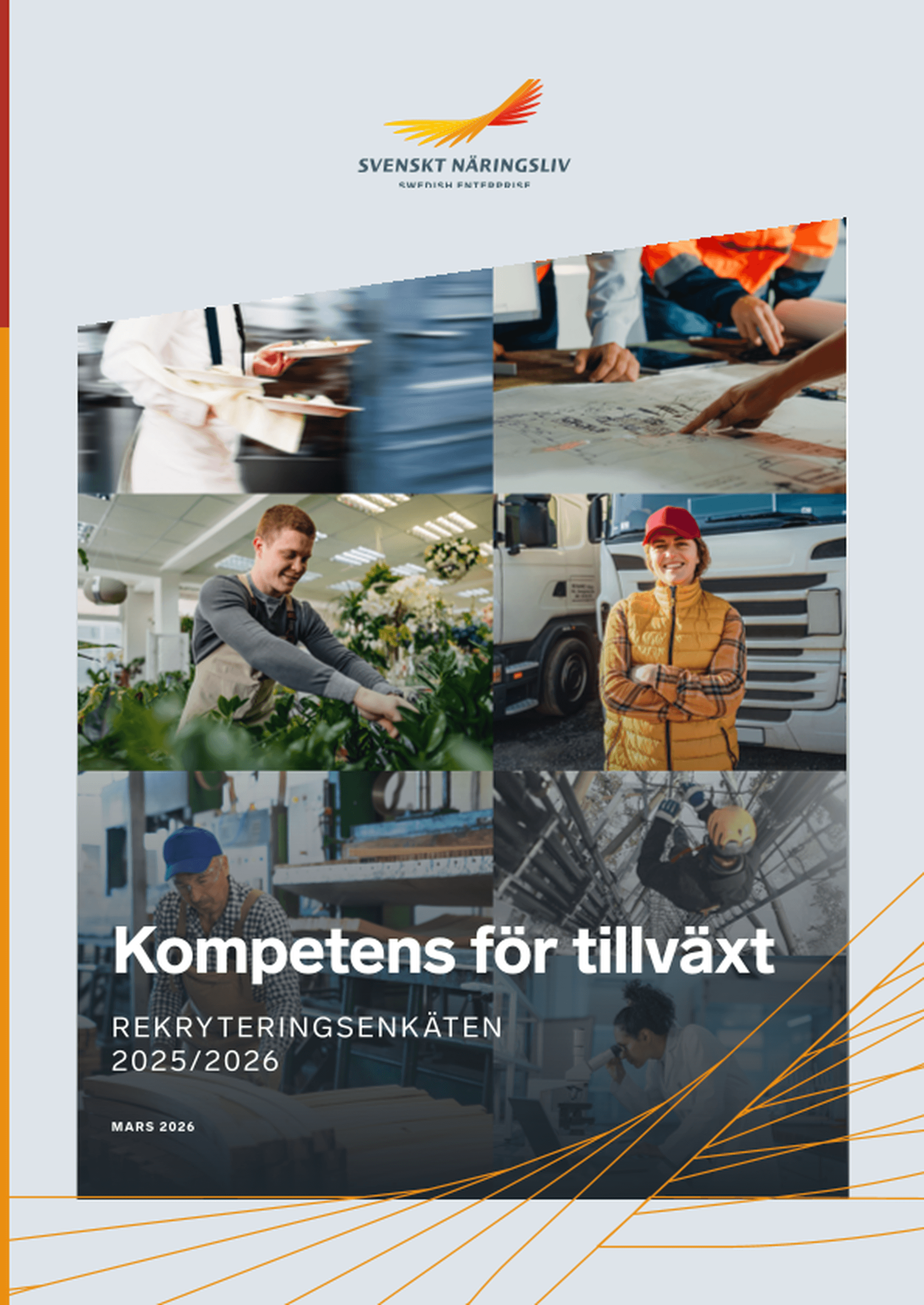 Omslagsbild - Rapport