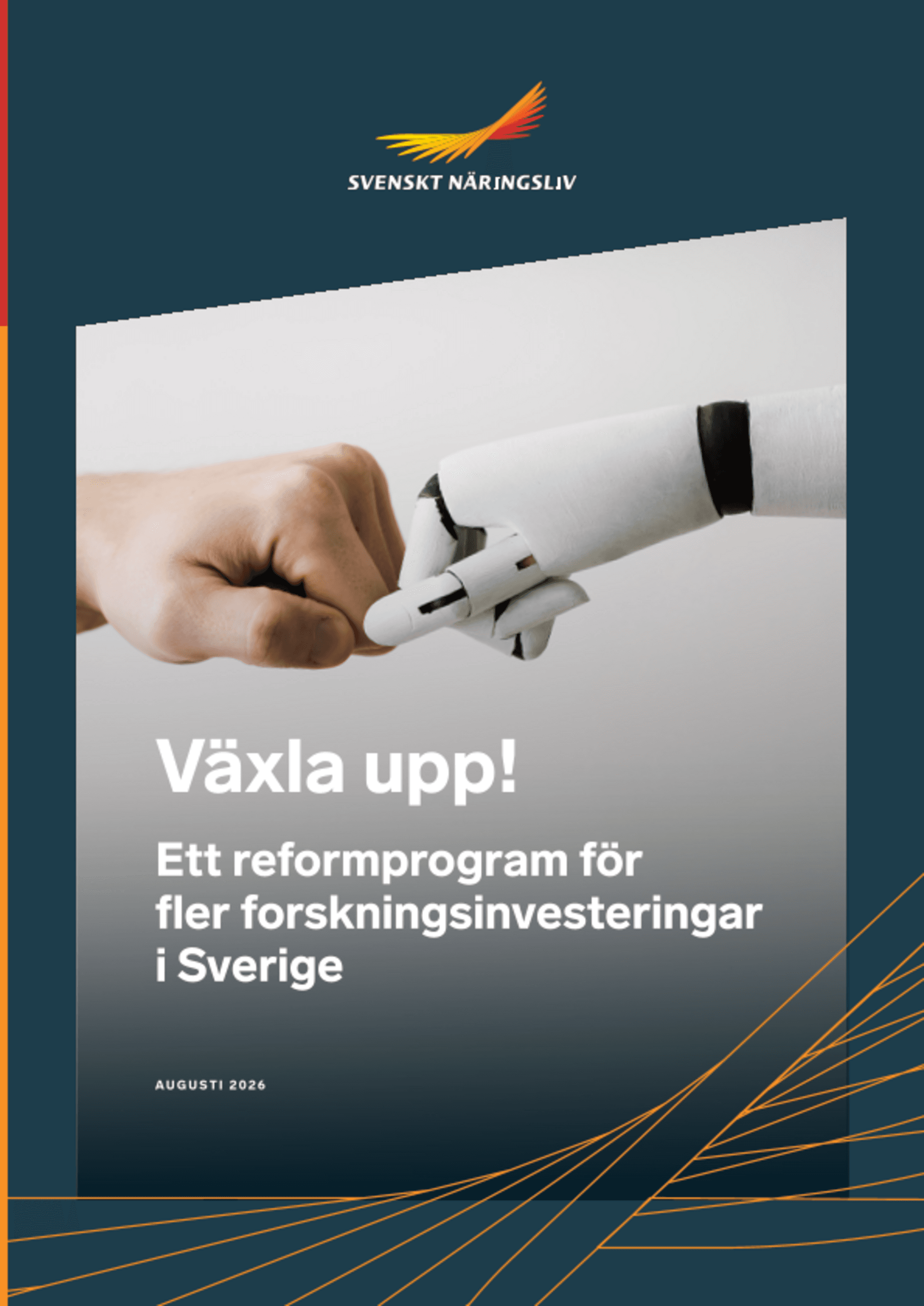 Omslagsbild - Rapport
