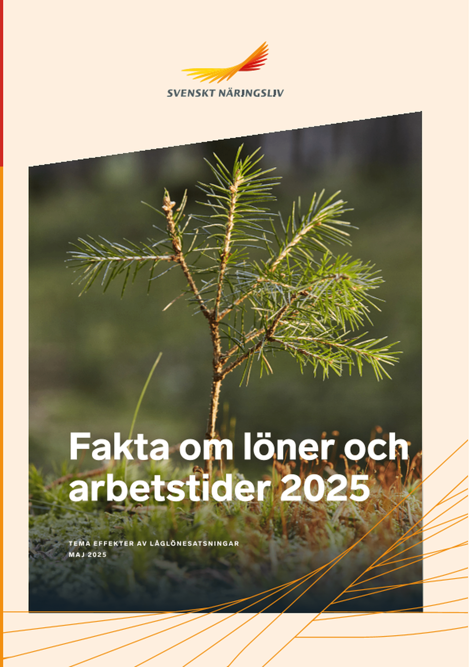 Omslagsbild - Rapport