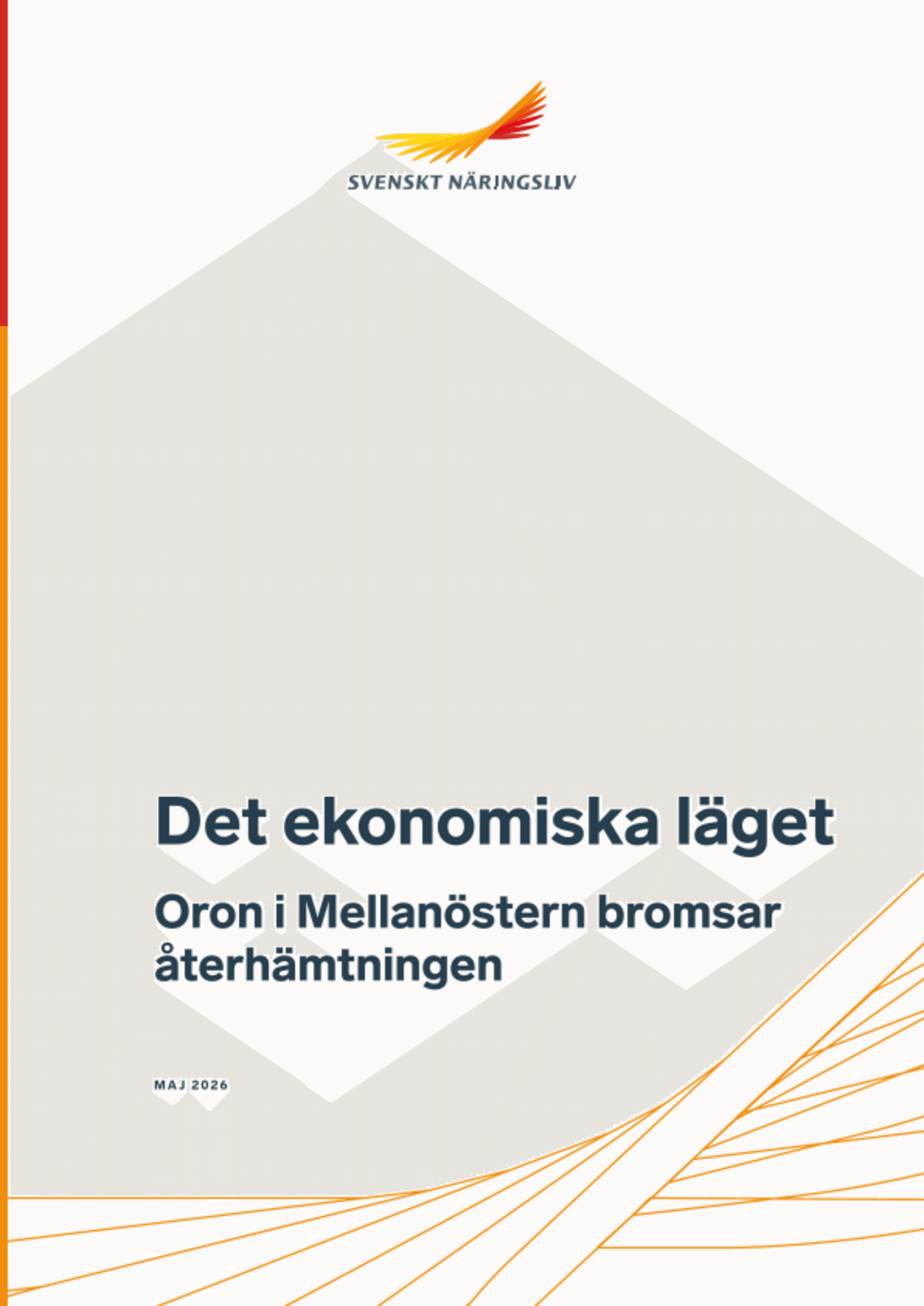 Omslagsbild - Rapport