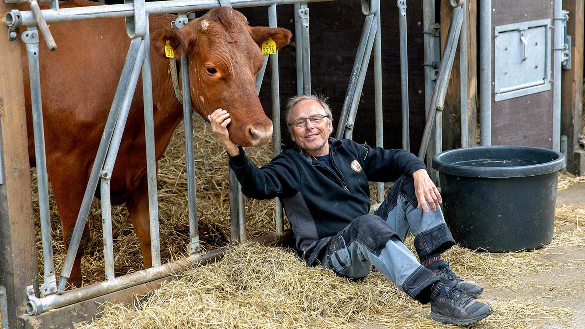 Per vid BB maj -19 med 3276.jpg