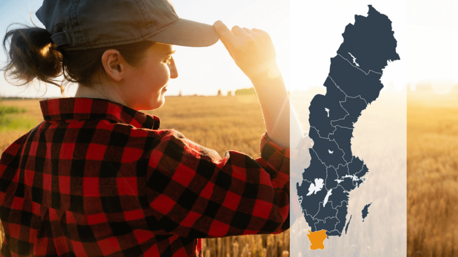 Kollage av en person som blickar ut över ett gult fält tillsammans med en Sverigekarta där Skåne är markerat