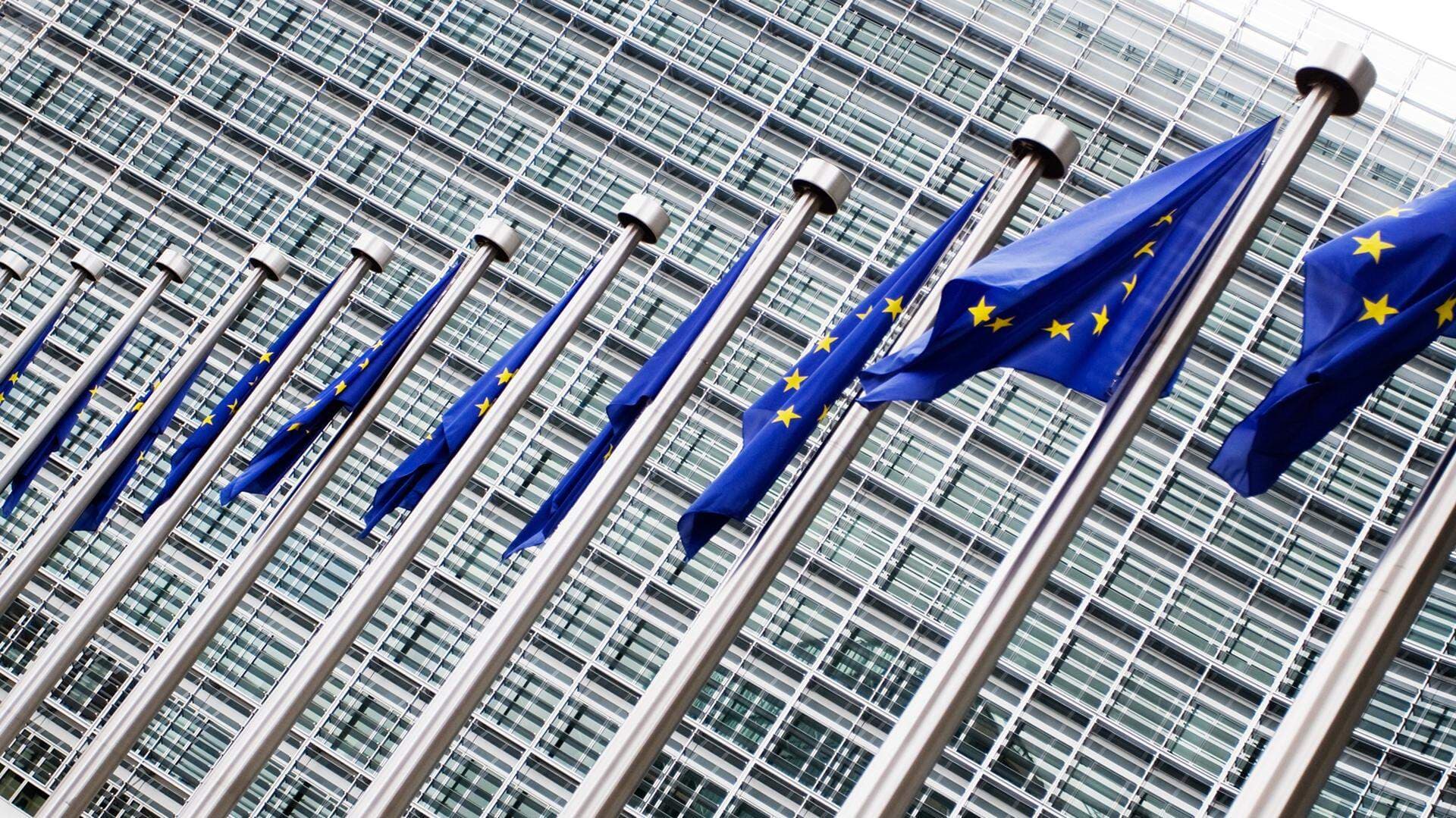 EU parlamentet med flaggor.jpg