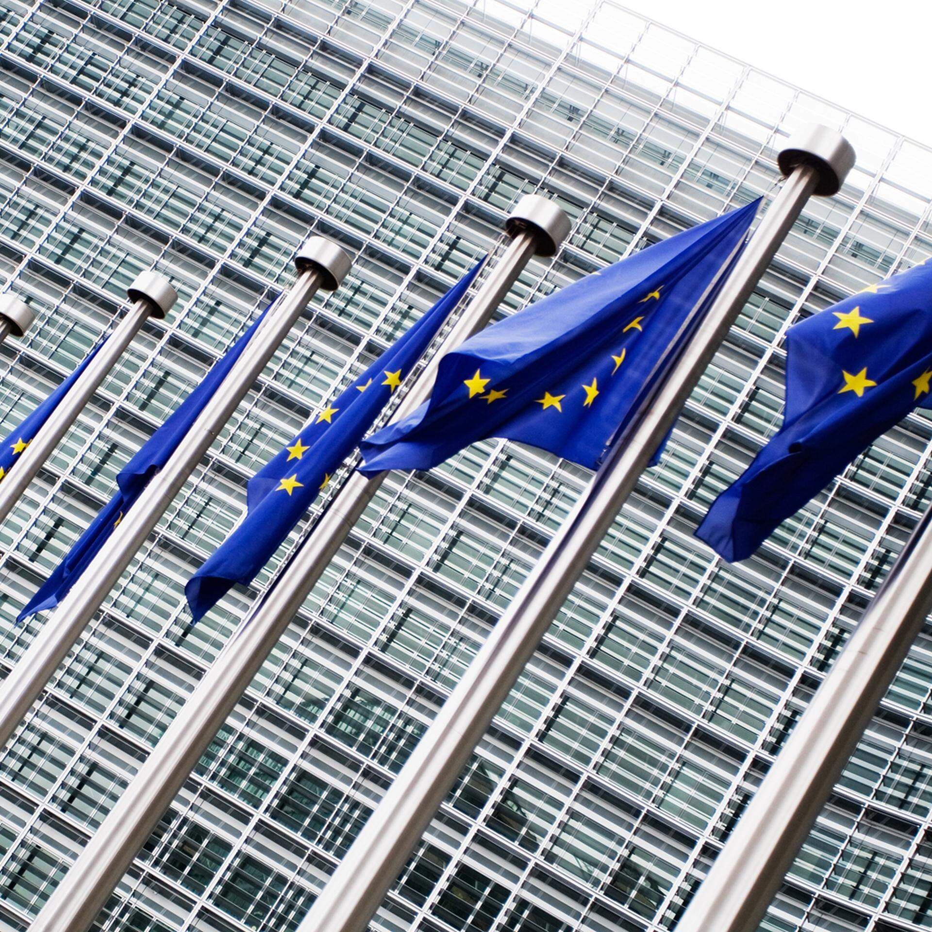 EU parlamentet med flaggor.jpg