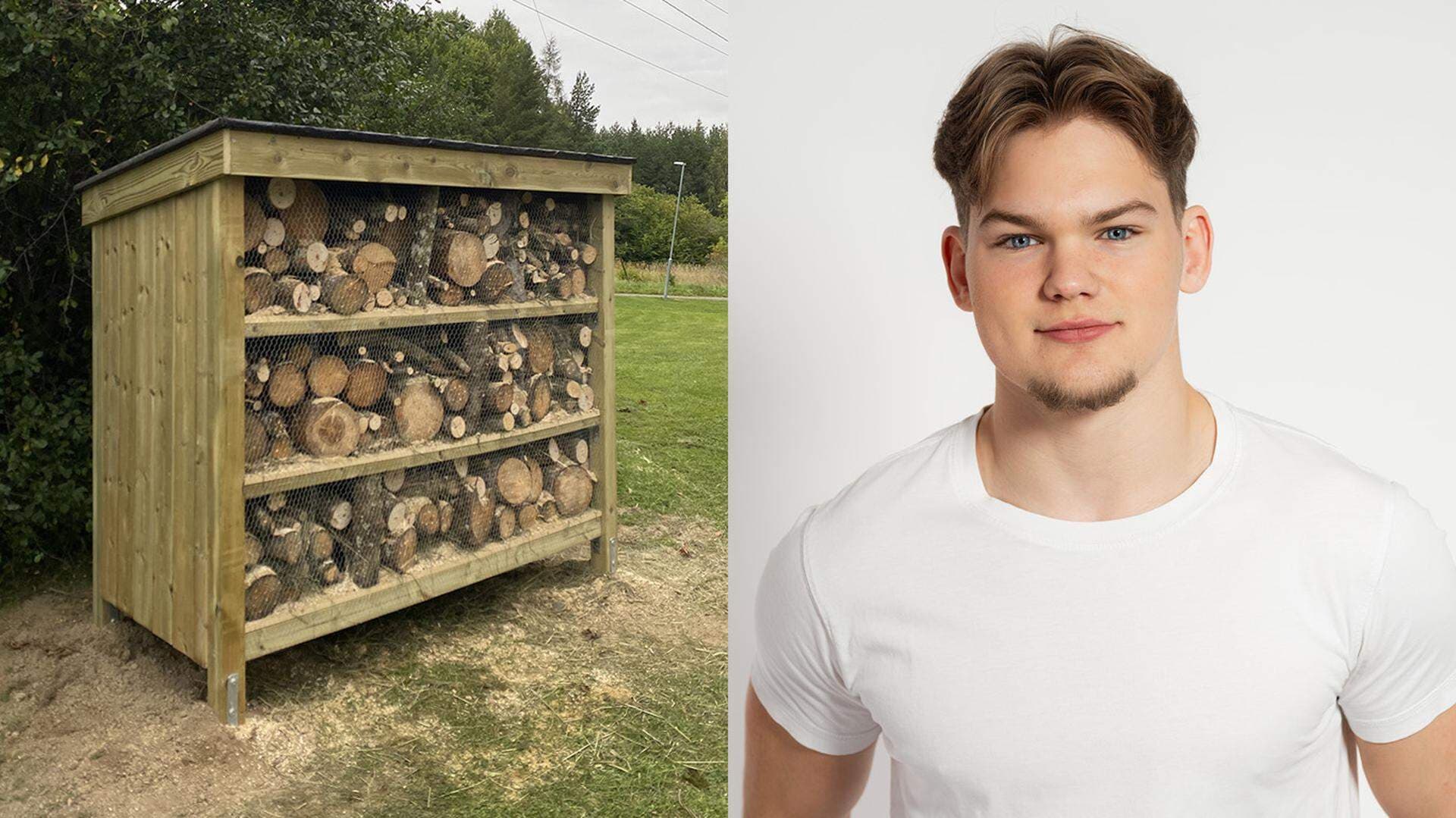 Bildkollage: Insektshotell från Bark & Bo samt bild på Hannes Klum