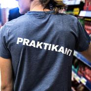 Många tveksamheter i direktivet om praktikplatser